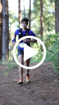 BIB:  <button type="button" onclick="openModal(26567139)" class="btn btn-primary btn-sm float-right" data-toggle="modal" data-target=".modal-high-quality">
                <i class="fa fa-download"></i> Download
                </button>